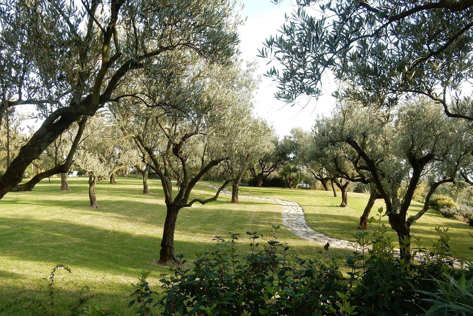 Colli San Pietro